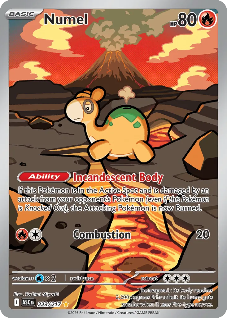 Numel card image