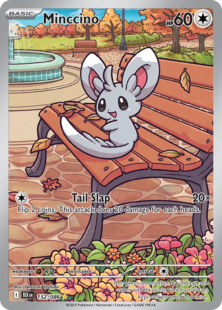 Minccino card image