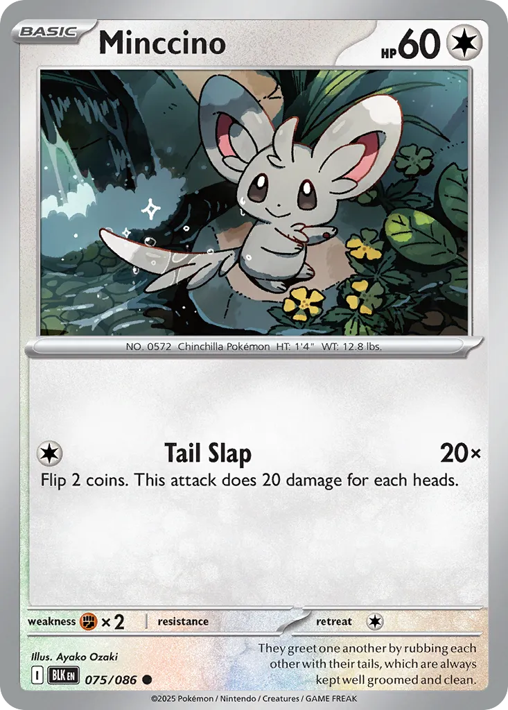 Minccino card image