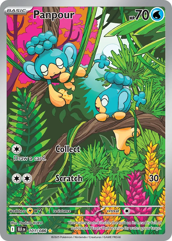 Panpour card image