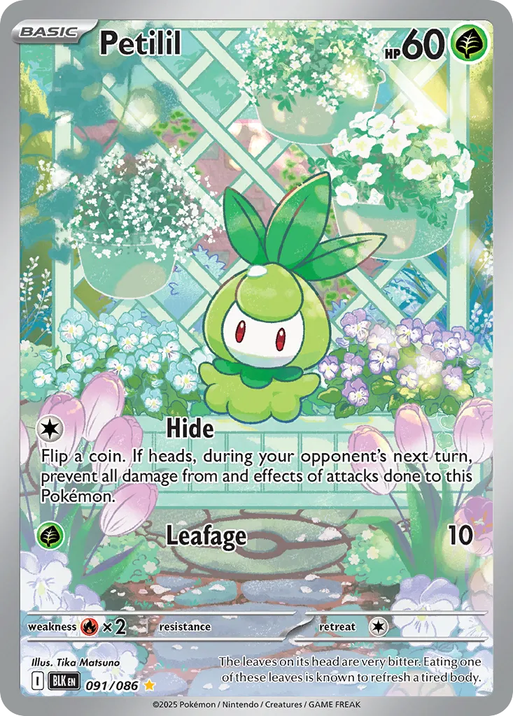 Petilil card image