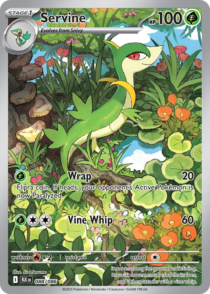 Servine card image