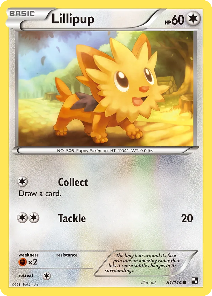 Lillipup card image