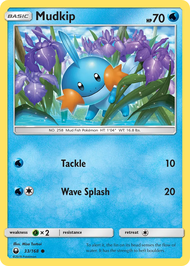 Mudkip card image