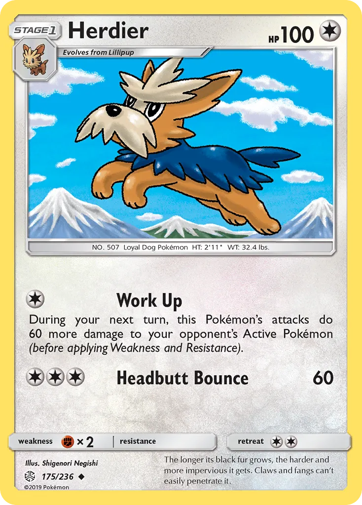Herdier card image