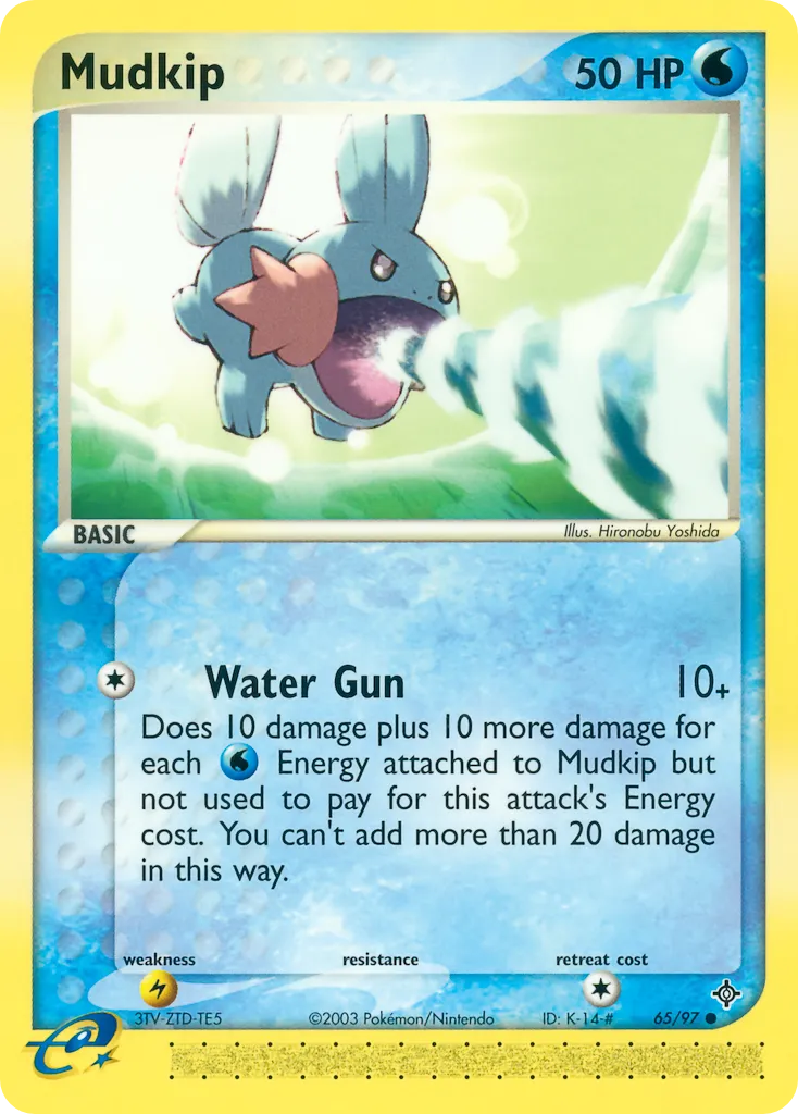 Mudkip card image