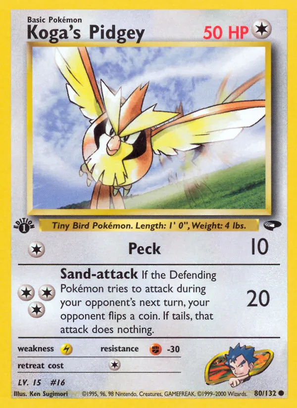 Koga's Pidgey card image