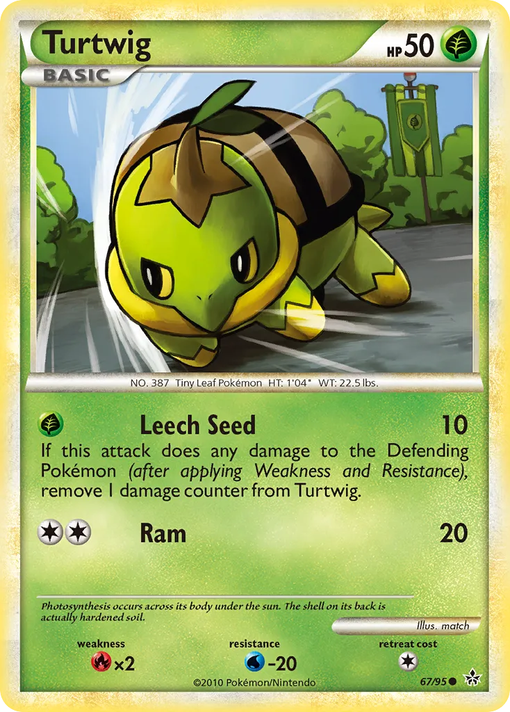 Turtwig card image
