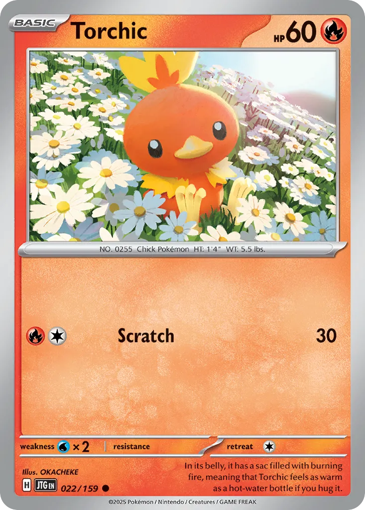 Torchic card image