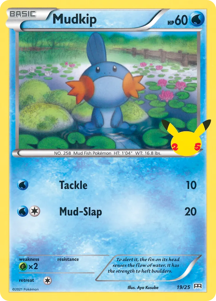 Mudkip #19 card image