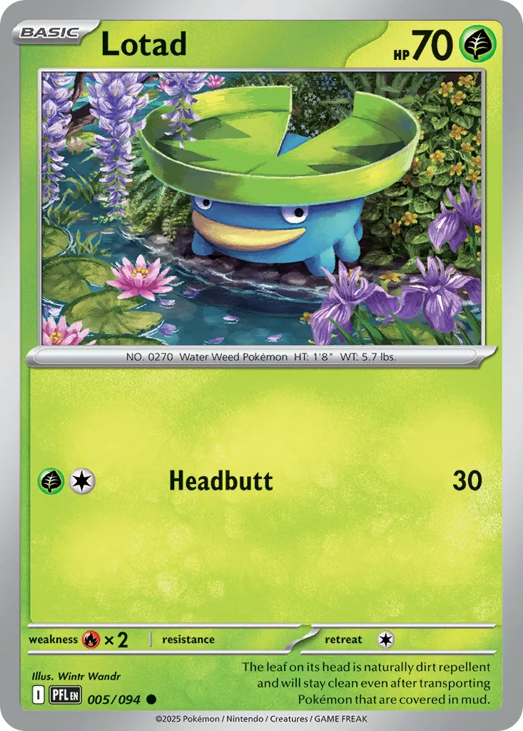 Lotad card image