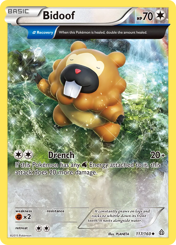Bidoof card image