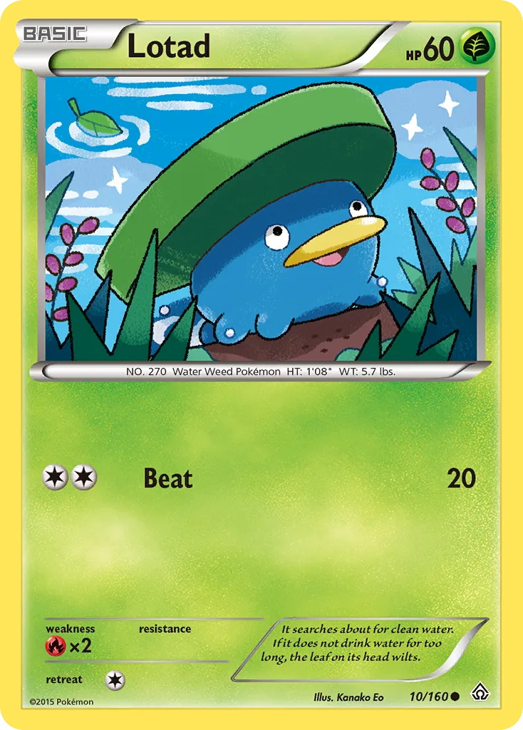 Lotad card image