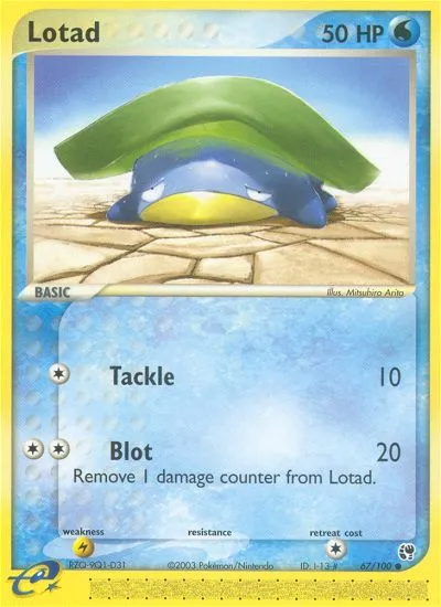 Lotad card image