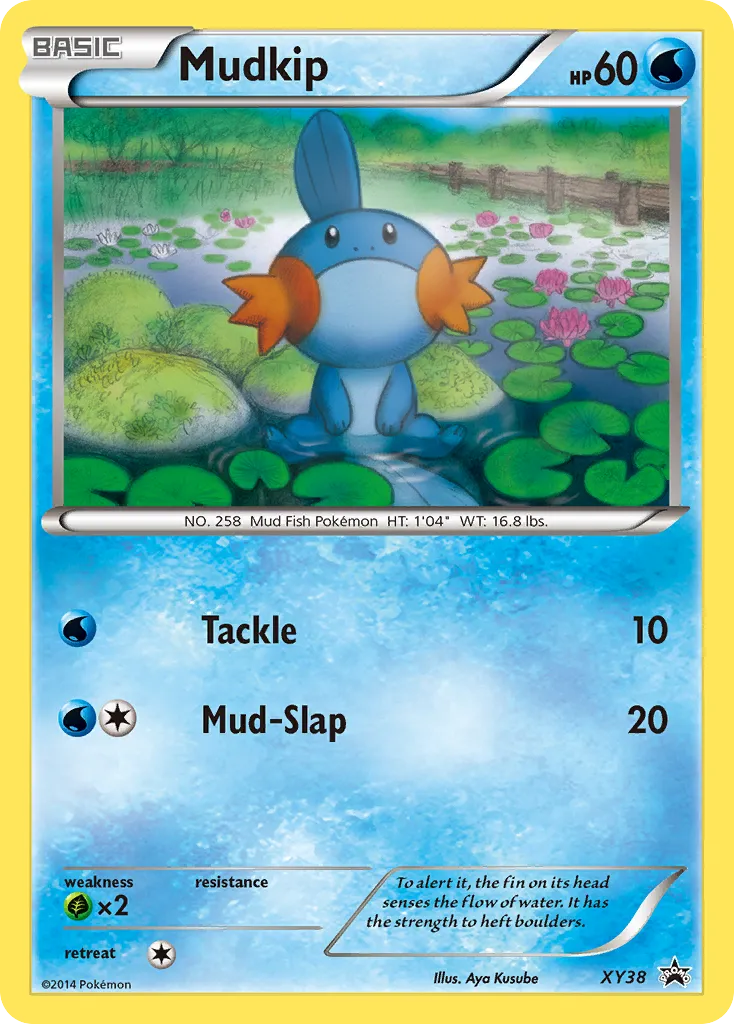 Mudkip card image